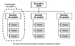 Estruturas Organizacionais O Que Mudou No Guia Pmbok Edi O