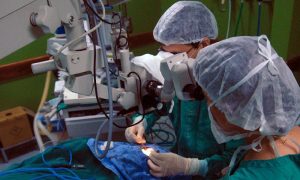 Recurso – Empresa Brasileira de Serviços Hospitalares – (EBSERH) – 2013