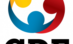 Secretaria de Educação do DF – 2013