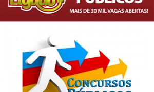 Concursos públicos: Mais de 30 mil vagas abertas!