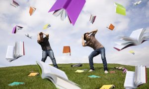 A arte de aprender. Por: Juliana Gebrim