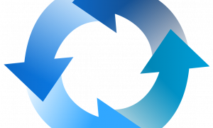 Ciclos. Por: Juliana Gebrim