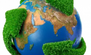 Concurso Ministério do Meio Ambiente: Oferta de 100 vagas para agente administrativo (nível médio)! Inicial de R$ 3.627,72!