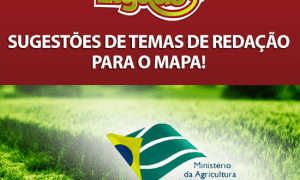 MAPA: Provas neste domingo, dia 4. Resolva simulado! De olho nos temas de redação