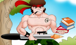 A batalha dos concursos públicos: Rumo à aprovação!