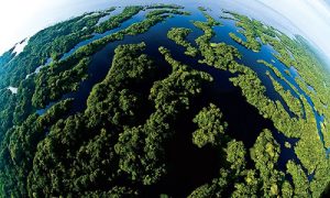 IPAAM abre mais de 90 vagas! Até 5,1 mil reais !