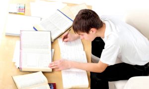 Novo Conteúdo para o TCU: Análise de Informações. Saiba Como Estudar!