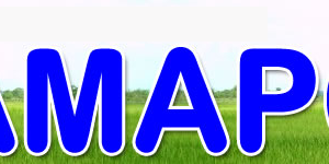 Não Fuja das Responsabilidades!