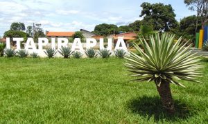 Os impostos e o Estado de Direito. Conheça a obra de nosso professor e aprofunde-se no tema!