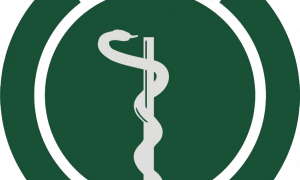 Prova em caso de blockchain não é inteiramente válida antes de perícia