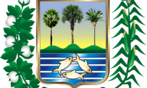 Prefeitura de Campinas do Piauí-PI lança edital para todos os níveis!