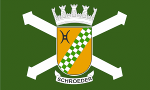 STF decide por unanimidade restringir foro privilegiado de deputados e senadores