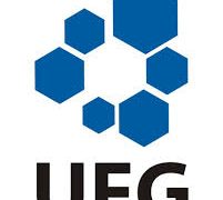 Universidade Federal de Goiás abre processo seletivo com 27 vagas! Remuneração de até R$ 3.972,50