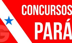 Concursos Estaduais: Oportunidades no Pará!