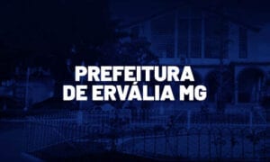 Concurso Ervália MG: saiu edital. 126 vagas. VEJA!