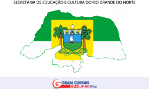 SEEC Rio Grande do Norte: Divulgados resultados preliminares! Recursos até 03 de fevereiro!