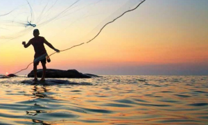 Concurso Ministério da Pesca: Oferta para nível médio e superior! MPOG volta a avaliar pedido!