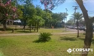 Consórcio Público de Brasília e Goiás realizará concurso para nível médio e superior! Salário de até R$ 5 mil!