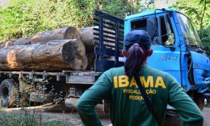 Concurso Ibama – Nível Médio e Superior 2016 oferece inicial de até R$ 7 mil!