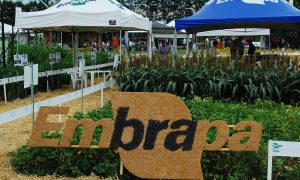 Concurso Embrapa 2016 para todos os níveis tem decisão favorável da justiça!