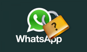 Palavra de quem entende: Decisão inédita do STJ – Polícia não pode acessar WhatsApp sem autorização judicial