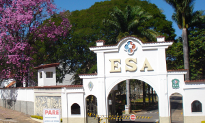 Traduzindo o Edital EsSA: Confira todos os detalhes sobre o concurso! Inicial de R$ 3,3 mil após formatura!