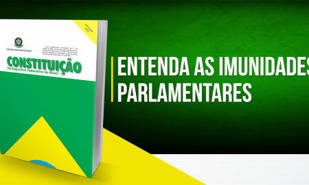 Momento Constitucional – Imunidades parlamentares – “O caso Bolsonaro”