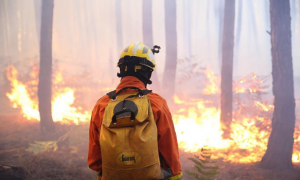 Concurso Bombeiros-DF: Últimos 7 dias para inscrições! Oferta de 779 vagas e até R$ 11,6 mil!