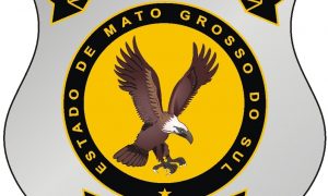 Gran Carreiras: tudo que você precisa saber sobre o cargo do seus sonhos!