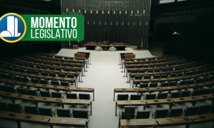 Carreiras Legislativas – A perda do mandato de deputado federal e suas principais consequências