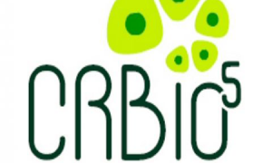 Concurso CRBio-5 2016: Saiu o edital para nível médio. Inicial de R$ 2 mil!