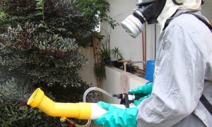 Sucen-SP lança edital com 321 vagas para níveis médio e superior. Salários de até R$ 4 mil!