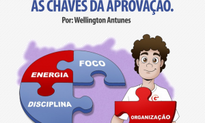 Planejamento e organização nos estudos: as chaves da aprovação