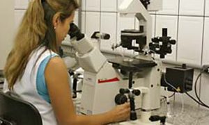 Fundação Araucária PR abre concurso público com salários de até R$ 6,6 mil!
