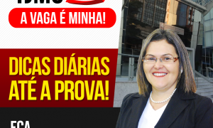 Concurso TJMG 2017: 100 dicas gratuitas! Confira as dicas de ECA