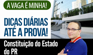 Concurso TJ PR 2017: confira as dicas da Constituição Estadual