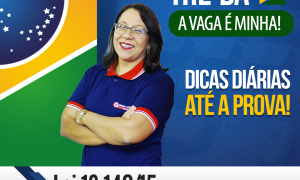 Concurso TRE BA: confira as dicas gratuitas de Lei 13.146/15!