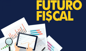 Coluna Futuro Fiscal: Princípios existem (Norma Brasileira de Contabilidade – NBC TSP Estrutura Conceitual)