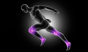 Carreira policial e treinamento do TAF: acelere sua preparação