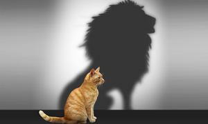 A coragem (já) está dentro de você