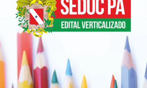 Concurso SEDUC PA: baixe o edital verticalizado GRÁTIS e organize a sua preparação!