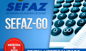Concurso Sefaz GO: baixe o edital verticalizado e organize os seus estudos!