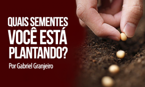 Quais sementes você está plantando?