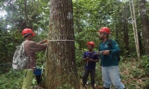 Edital IDAM: Saiu resultado final! Iniciais de até R$ 6,5 mil!