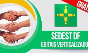 Concurso Sedest DF: baixe os editais verticalizados e organize-se!