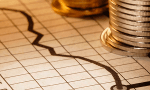 Os desafios e as perspectivas do governo Bolsonaro