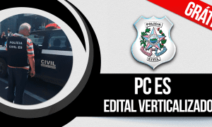 Concurso PC ES: baixe o edital verticalizado e organize os seus estudos!