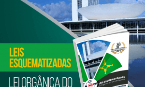 Baixe GRATUITAMENTE seu e-book com dicas e macetes sobre a LODF!