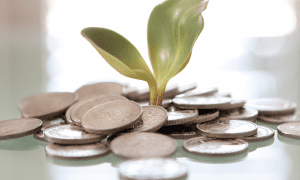 A empresa Vale e sua responsabilização criminal pelo crime ambiental ocorrido em Brumadinho – MG: amparo normativo e consequências