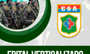 Edital ESA 2019 verticalizado: baixe gratuitamente e prepare-se para o próximo concurso!